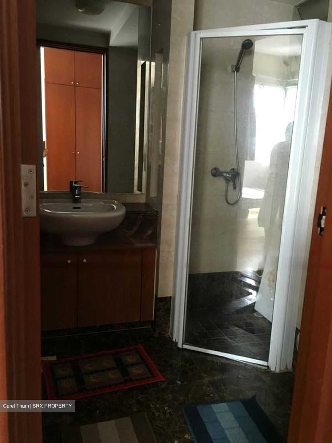 The Clearwater (D16), Condominium #434883001